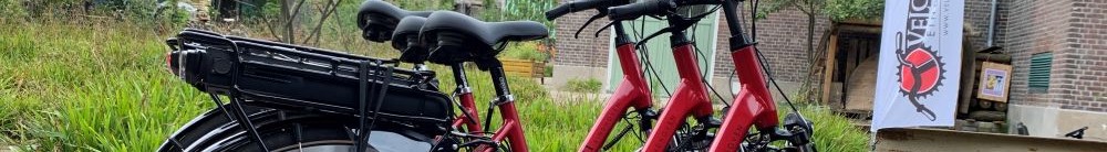 Elektrische fiets