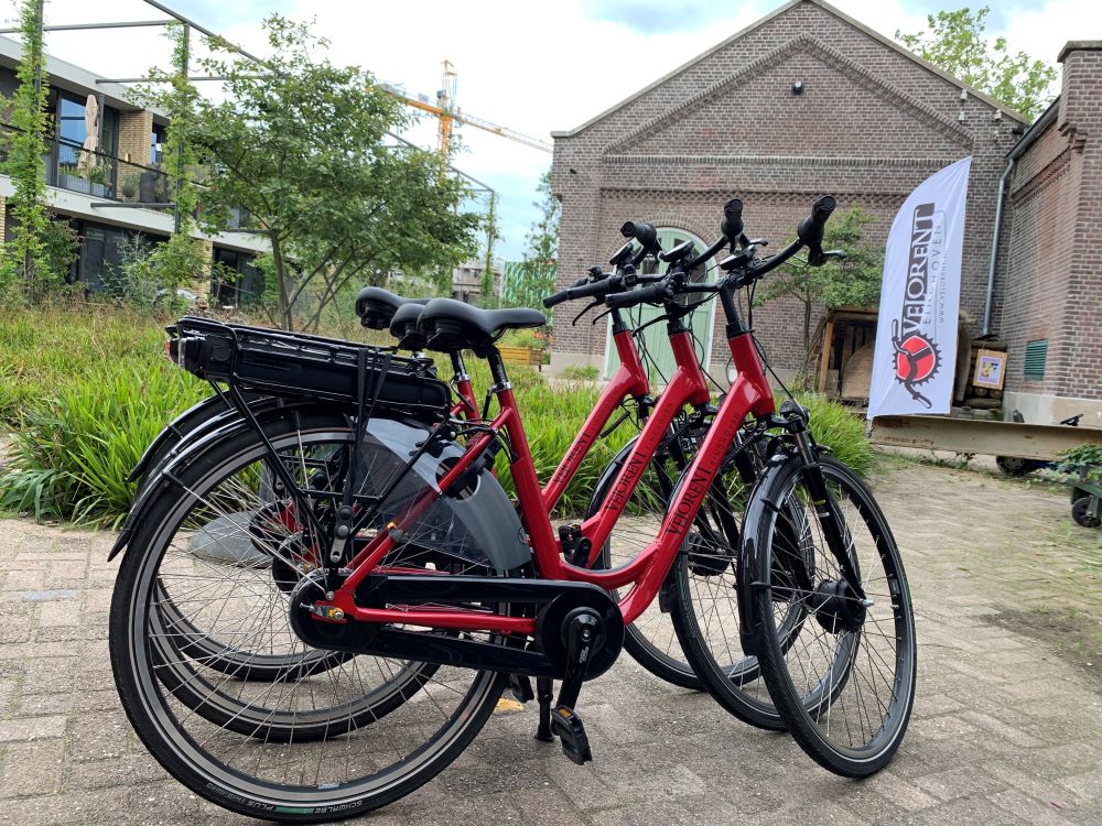 Elektrische fiets